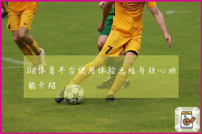 ng体育平台使用体验总结与核心功能介绍