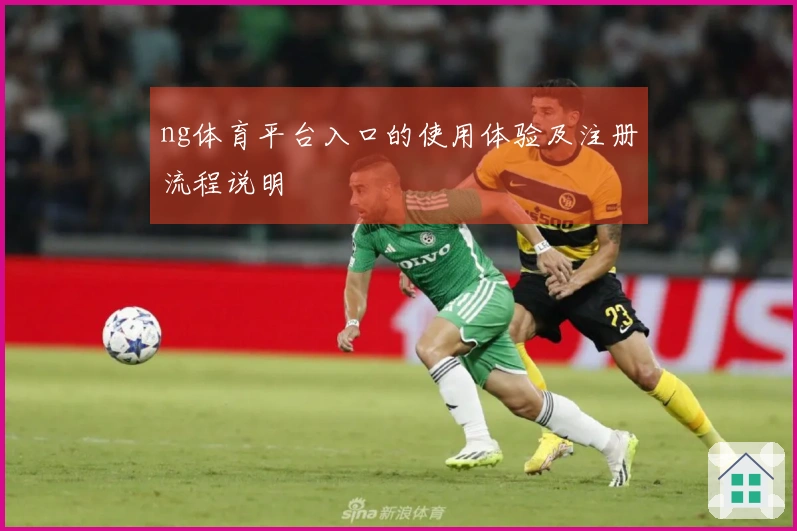 ng体育平台入口的使用体验及注册流程说明
