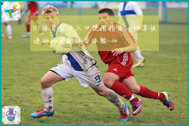 ng体育官方入口使用指南：畅享快速访问全新体育体验