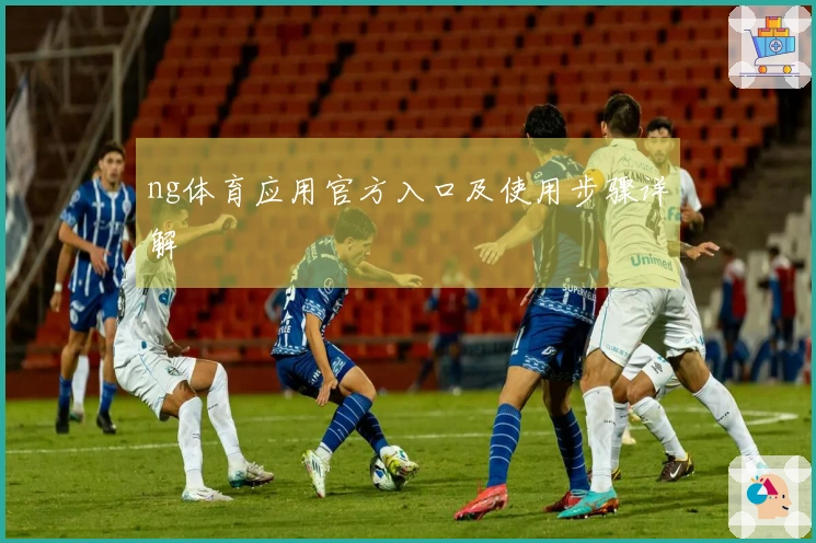 ng体育应用官方入口及使用步骤详解