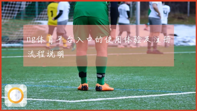 ng体育平台入口的使用体验及注册流程说明