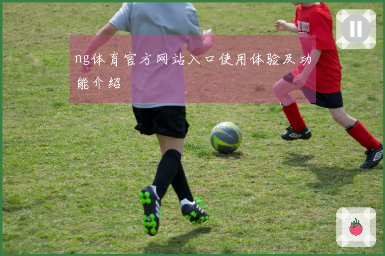 ng体育官方网站入口使用体验及功能介绍