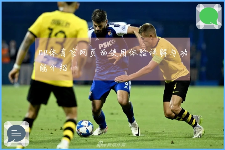 ng体育官网页面使用体验详解与功能介绍