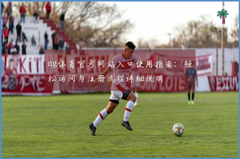 ng体育官方网站入口使用指南:轻松访问与注册流程详细说明