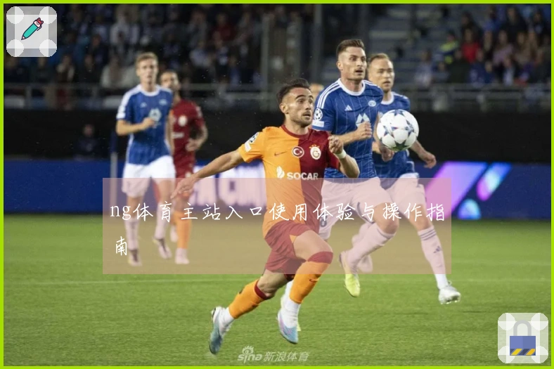 ng体育主站入口使用体验与操作指南