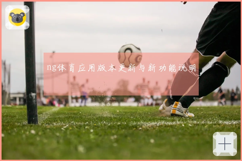 ng体育应用版本更新与新功能说明