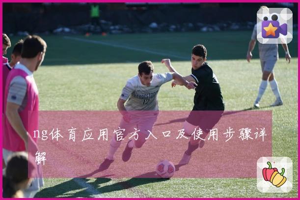 ng体育应用官方入口及使用步骤详解