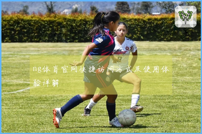 ng体育官网快捷访问方式及使用体验详解