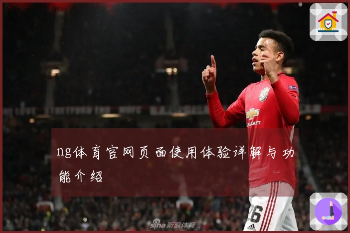ng体育官网页面使用体验详解与功能介绍